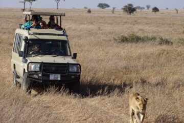 9 Days 8 Nights Samburu