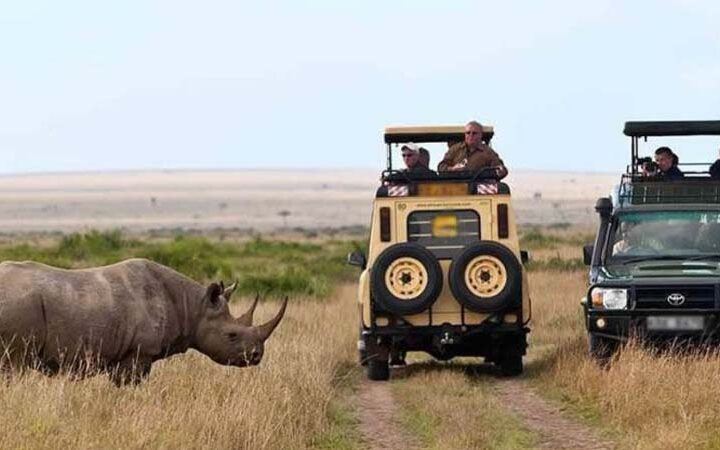 9 Days 8 Nights Samburu, Lake Naivasha, Lake Nakuru, Masai Mara and Amboseli.