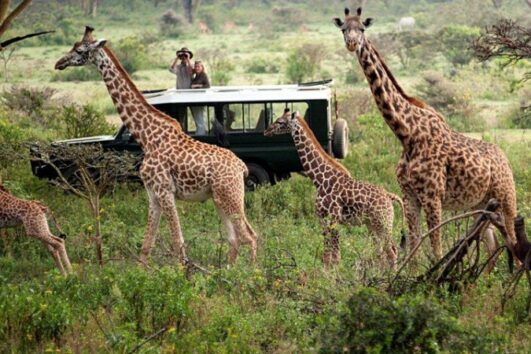 3 days 2 nights Maasai Mara
