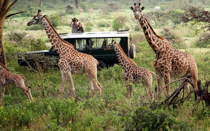 3 days 2 nights Maasai Mara