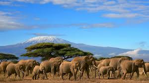 3-days-2-nights-amboseli
