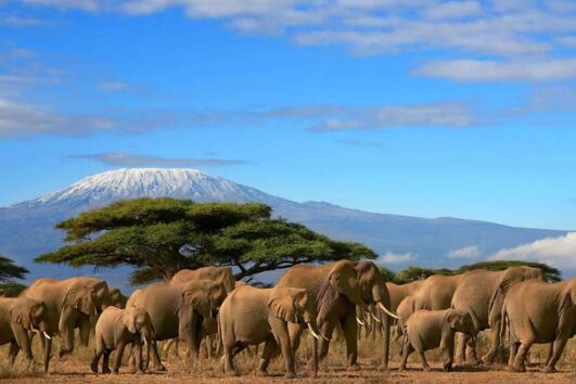 3 days 2 nights amboseli resorto