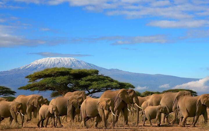 3 days 2 nights amboseli resorto