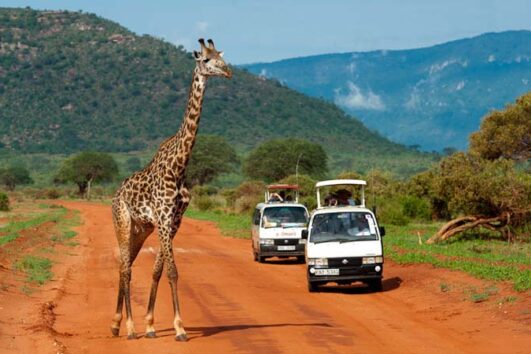 5-Days-4-Nights-Amboseli-and-Tsavo