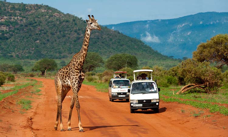 5-Days-4-Nights-Amboseli-and-Tsavo