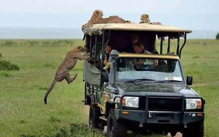 6 Days 5 Nights Masai Mara and Samburu Game Reserve