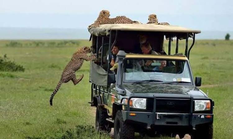 6 Days 5 Nights Masai Mara and Samburu Game Reserve