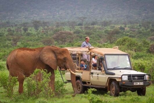 6 Days 5 Nights Masai Mara and Samburu Game Reserve