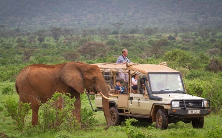 6 Days 5 Nights Masai Mara and Samburu Game Reserve