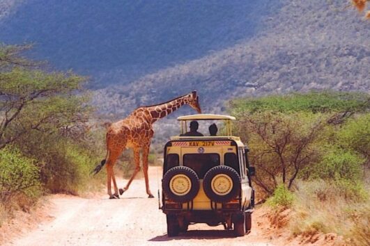 5 Days 4 Nights Samburu and Lake Nakuru.