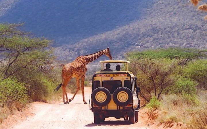 5 Days 4 Nights Samburu and Lake Nakuru.