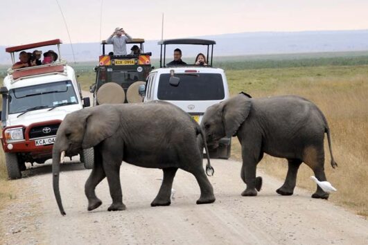 game drive in masai mara and the best masai mara safari package form resorto safaris