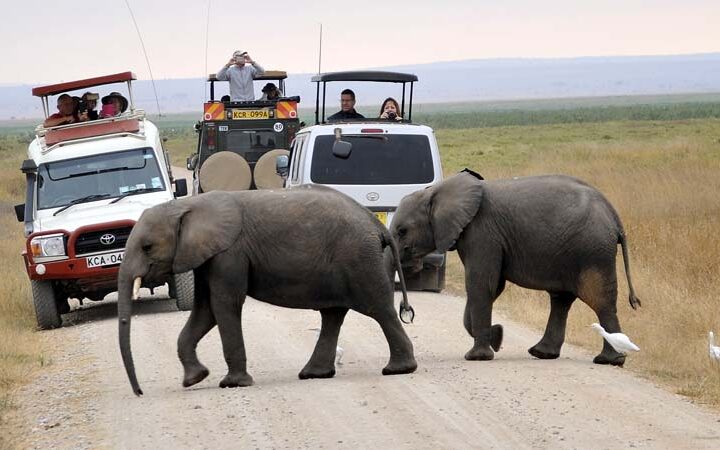 game drive in masai mara and the best masai mara safari package form resorto safaris