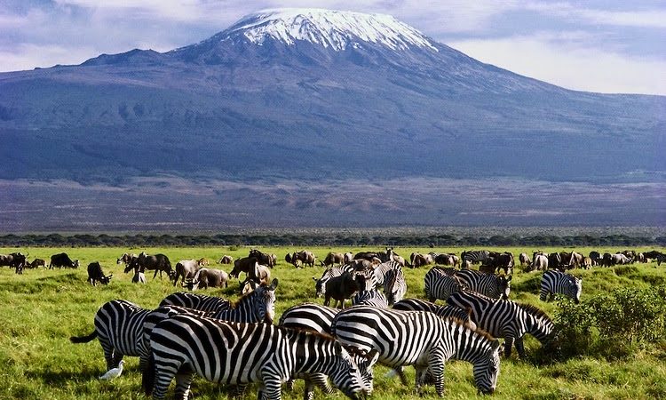2-days 1Night Amboseli National Park.