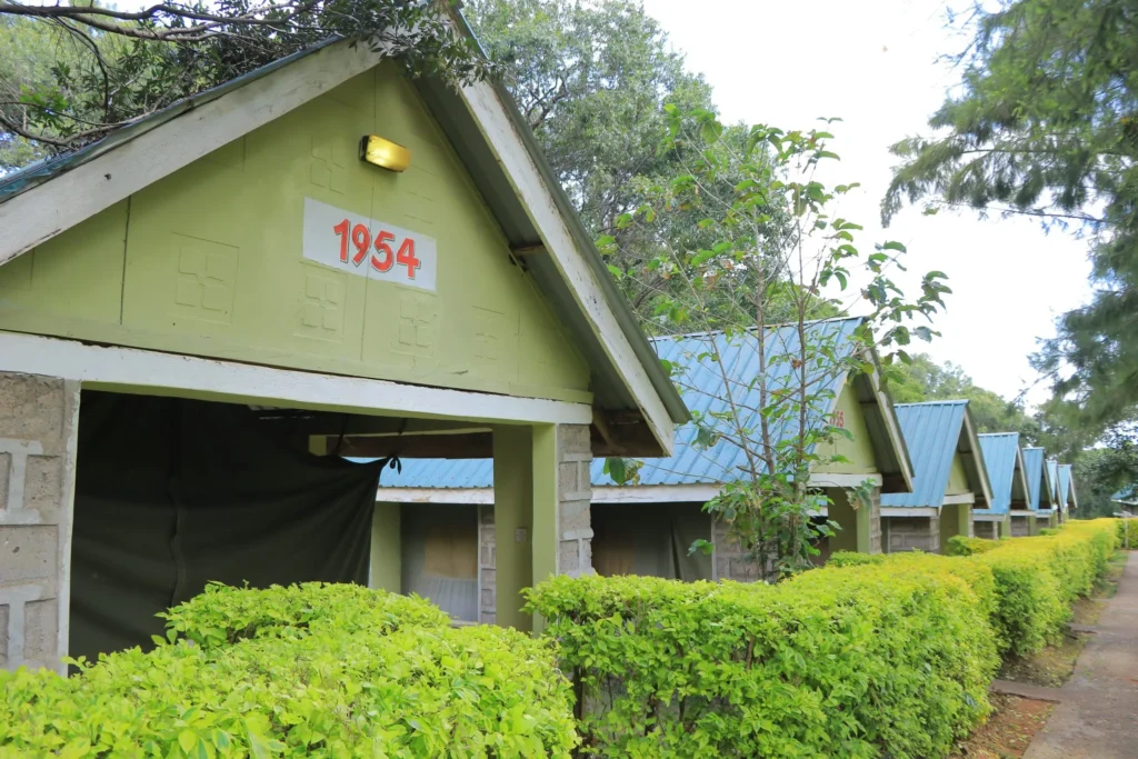 4 Days Mara Nakuru Safari at Budget Tented Camp in Masai Mara at Rhino lxury camp an affordable masai mara accommodation